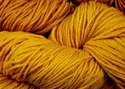 BFL superwash wool dyed with Persian Berry (or Buckthorn) natural dye extract | Wild Colours natural dyes