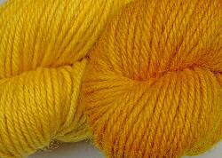 BFL superwash wool dyed with fustic natural dye extract