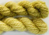 Dyeing with Goldenrod natural dye