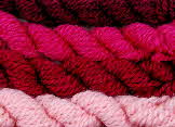 Dyeing with the natural dye Cochineal - Dactylopius coccus