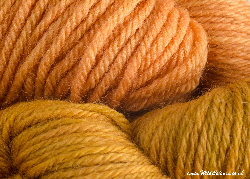 BFL wool dyed with greenweed & madder extracts | Wild Colours natural dyes